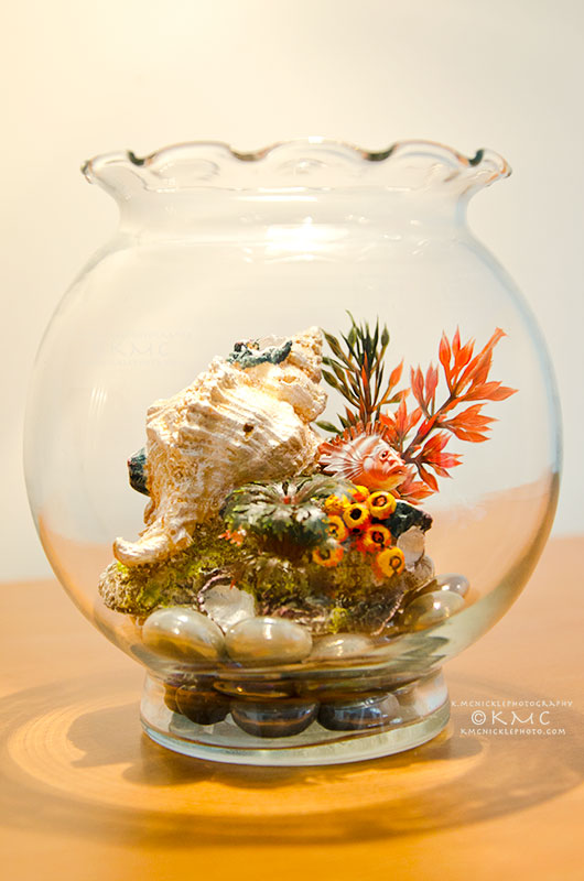 rockfish-fishbowl-kmcnickle-toy