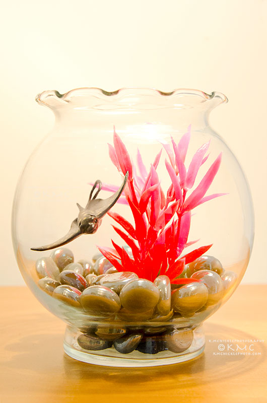 stingray-toy-fishbowl-kmcnickle